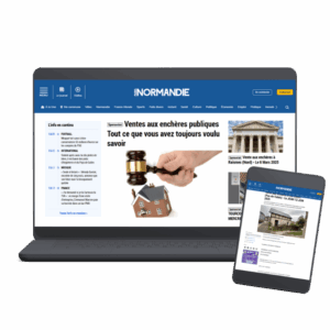 Diffusion print et digitale des ventes aux enchères