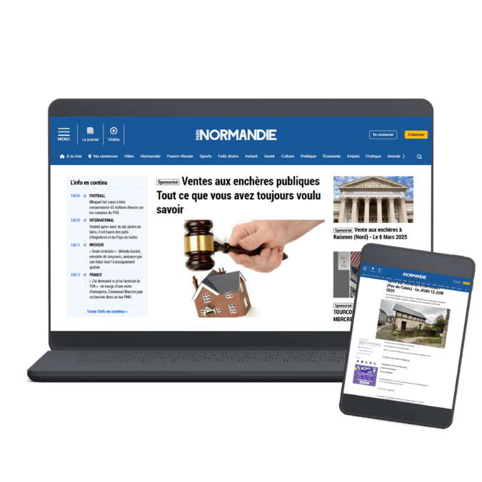 Diffusion print et digitale des ventes aux enchères